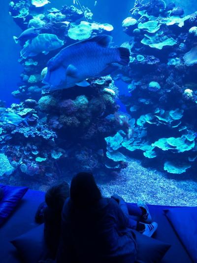 Palma Aquarium