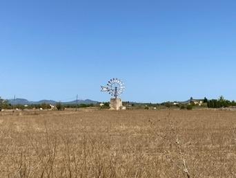 Campos