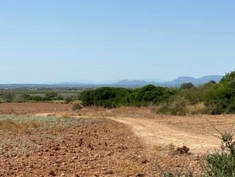 ses Salines