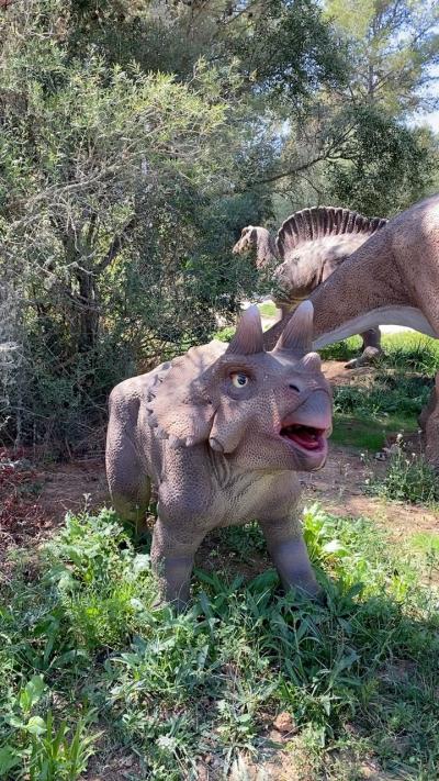 Dinosaurland, Mallorca