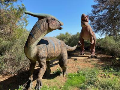 Dinosaurland, Mallorca
