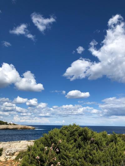 Mallorca image