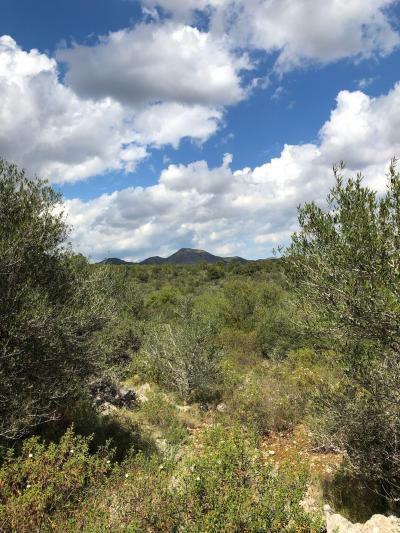 Cales de Mallorca