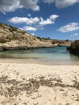 Cales de Mallorca