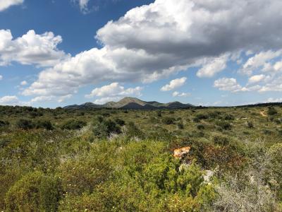 Parc Natural de la Península de Llevant