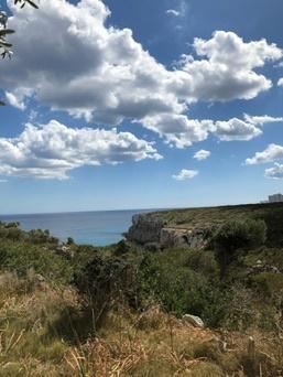 Cales de Mallorca