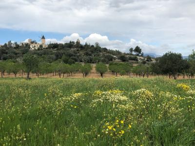 Santa Maria del Camí