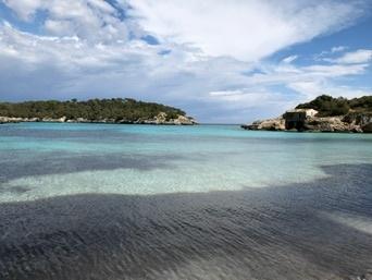 Portopetro