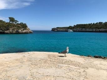 Mallorca image