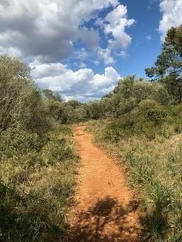 Mondragó Natural Park