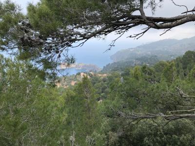 Valldemossa