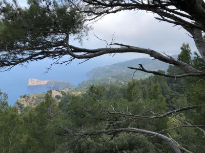 Mirador de Sa Foradada