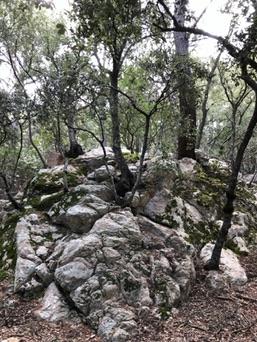 Valldemossa