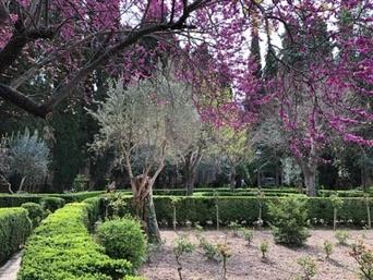 Jardines de Alfabia