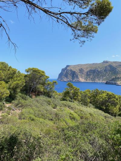 Sant Elm