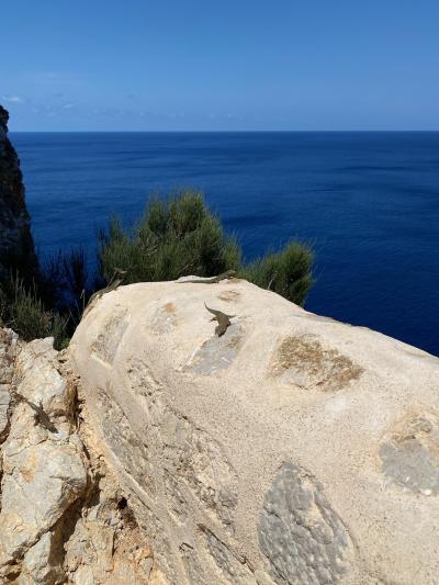 Sant Elm