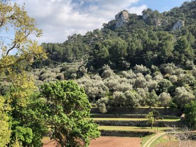 Serra de Tramuntana