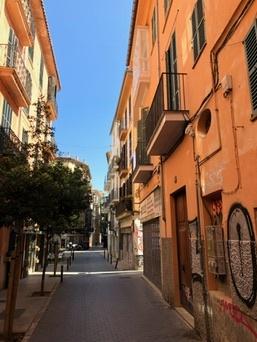 Palma