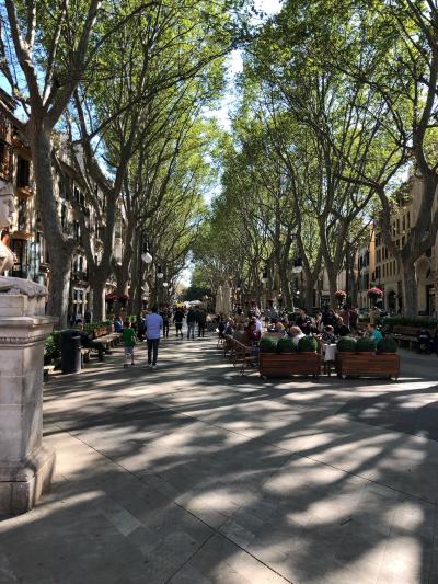 Passeig des Born, Palma
