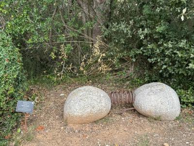 S'Albufera des Grau Natural Park