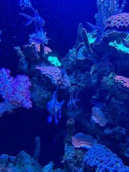 Palma Aquarium