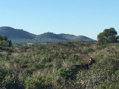 Parc Natural de la Península de Llevant
