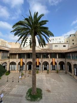 Palma