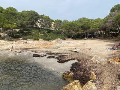 Portopetro