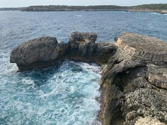 Portopetro