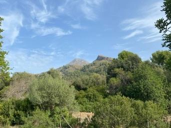 Serra de Tramuntana