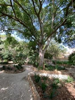 Jardí Botànic de Sóller