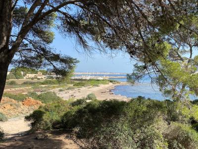 s'Estanyol de Migjorn