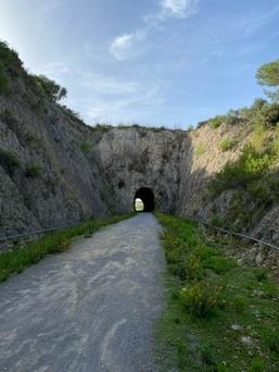 Sant Llorenç des Cardassar