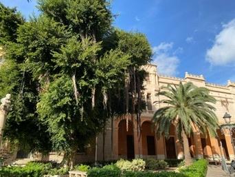 Palma