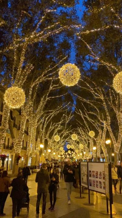 Passeig del Born, Palma