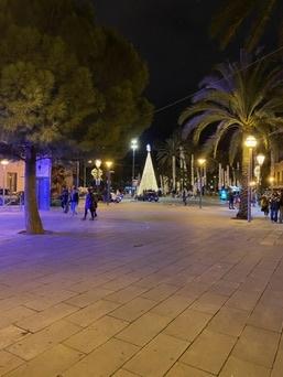 Palma