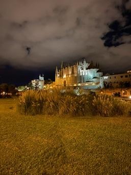 Palma Cathedral