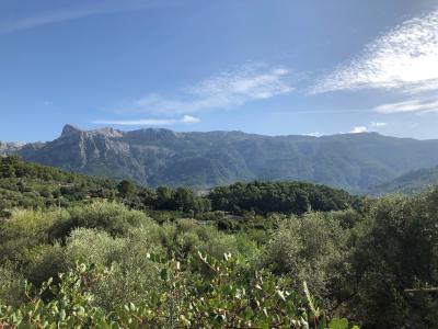Serra de Tramuntana