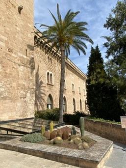 Palma