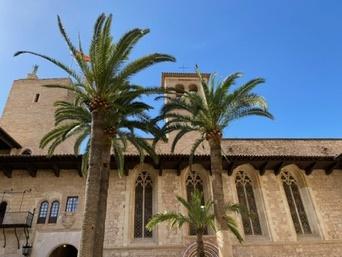 Palma