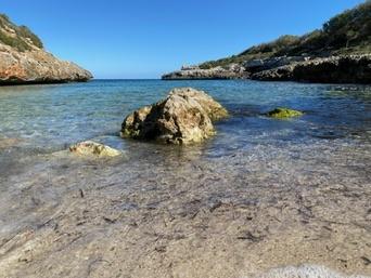 Mallorca image