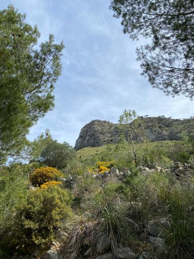 Colònia de Sant Pere
