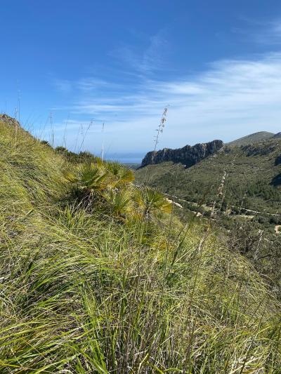 Parc Natural de la Península de Llevant