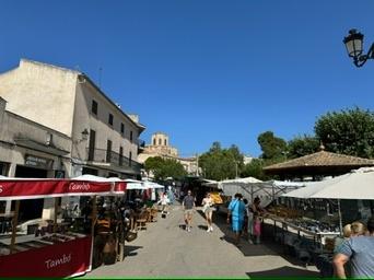 Sineu