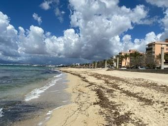 Playa de Palma