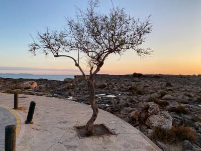Colònia de Sant Jordi