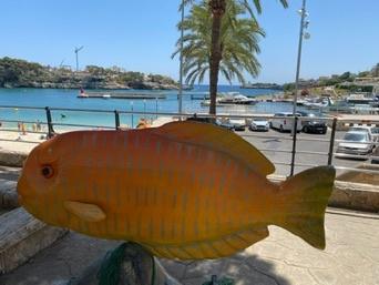 Portocristo