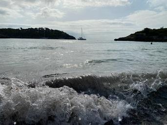 Portopetro