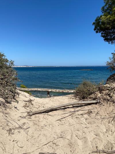 s'Estanyol de Migjorn