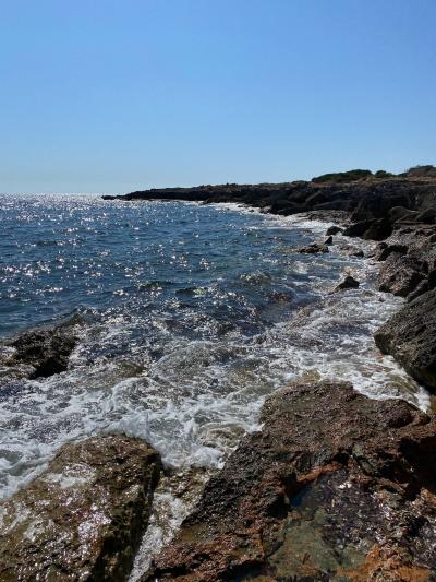 s'Estanyol de Migjorn